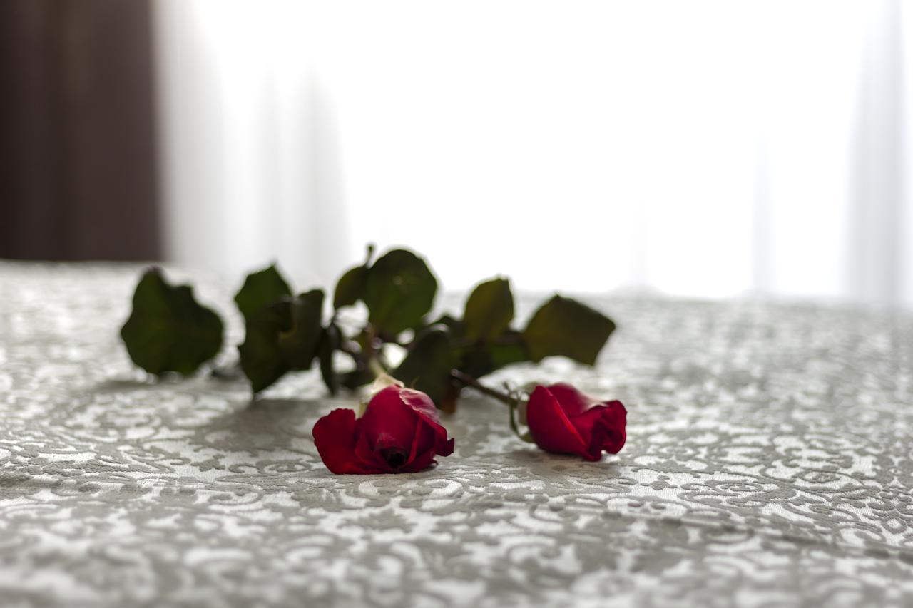 Deluxe Apartment,644301225:JPEG