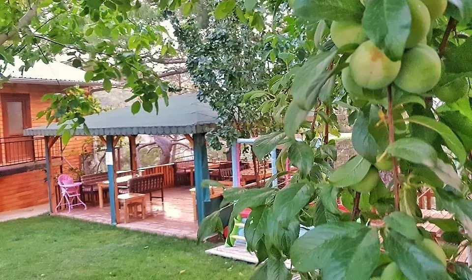 Yenivadi-1