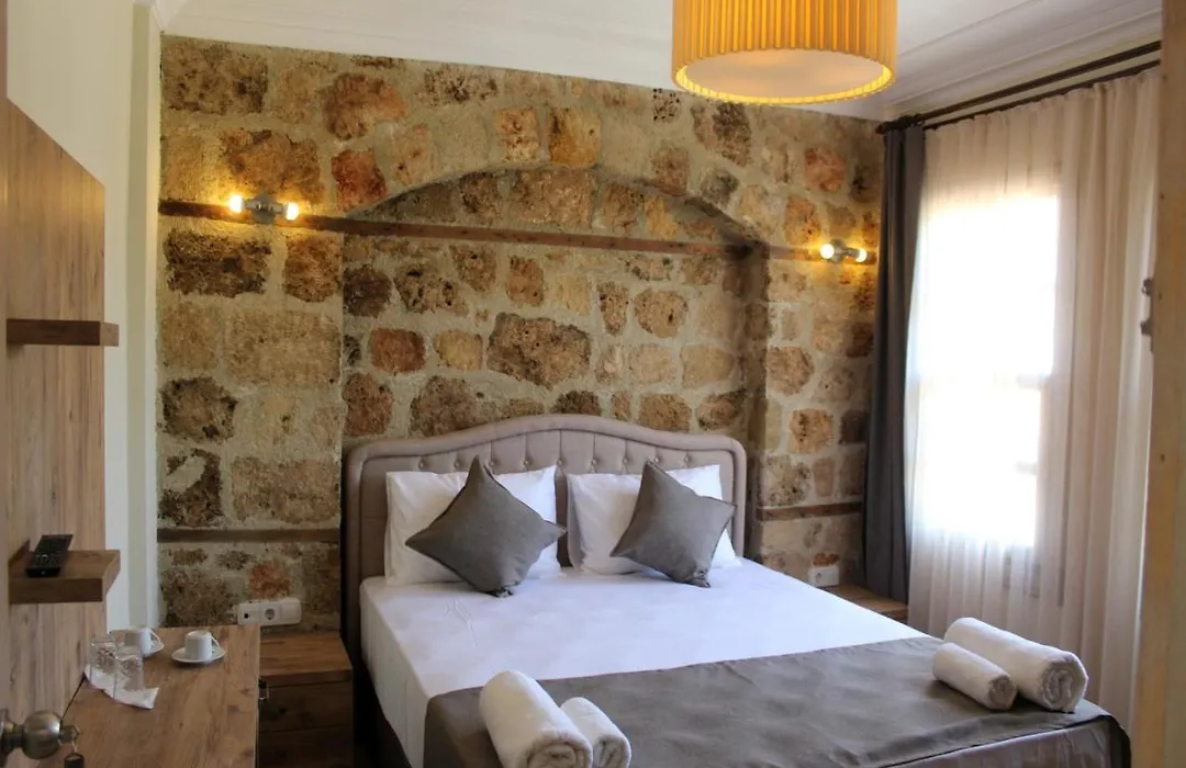 Villa Castle Inn-1