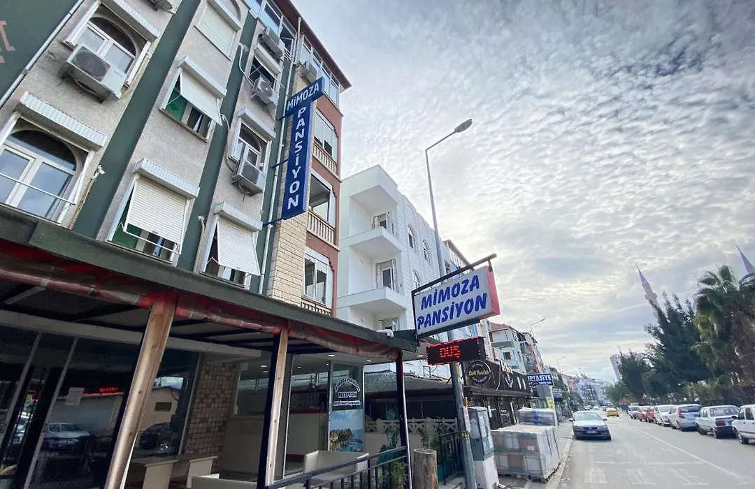 Mimoza Pansiyon-1