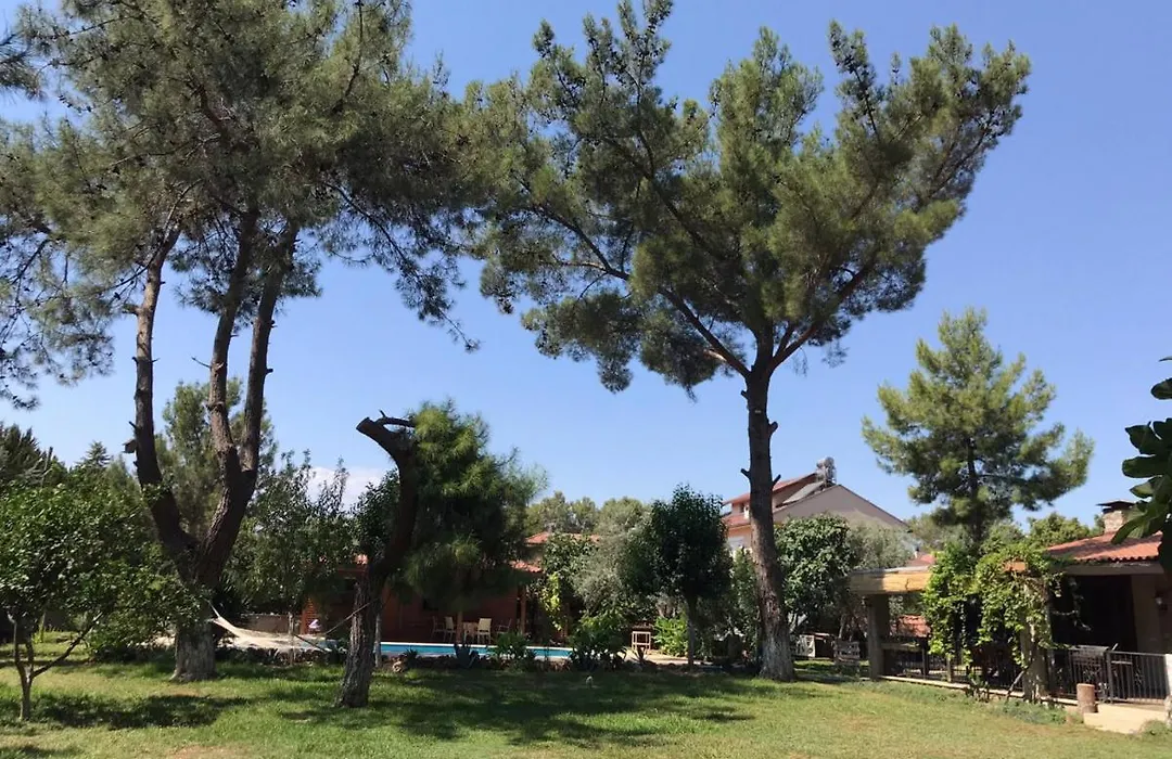 Lovely Summer House With Shared Pool In Kepez-1