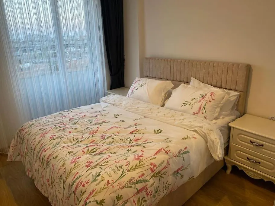 New Aprtment In Compund 1+1-1