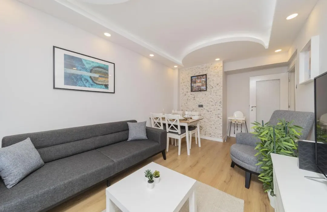 Fully Furnished Spacious Flat In Muratpasa-1