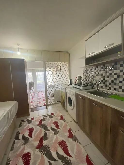 Oezel Plajli Sitede Bahce Kati-1