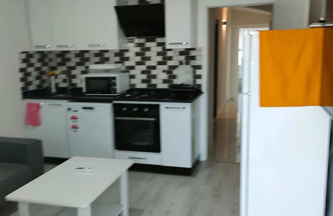 Oezmen House-1