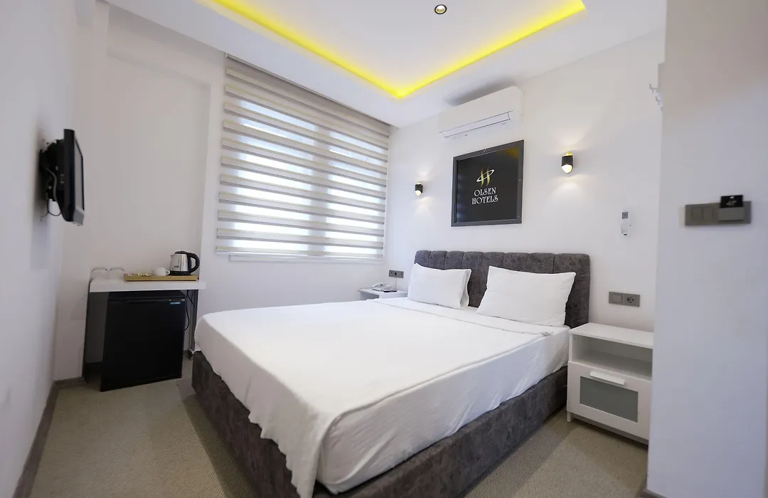 Olsen Hotels-1