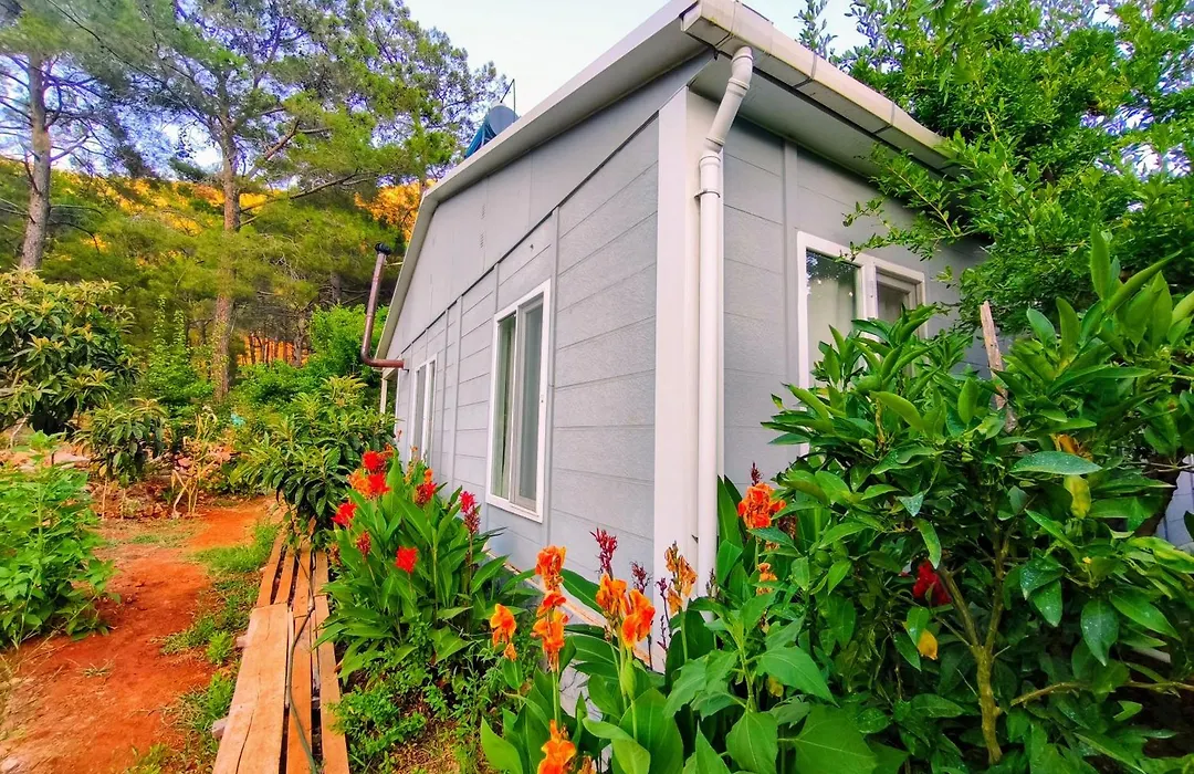 Gelidonia Holiday Home On The Lycian Way-1