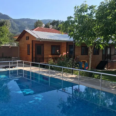 Yenivadi-3