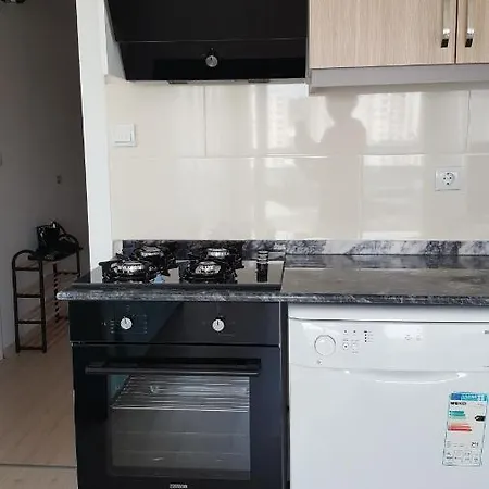 1+1 Furnished Flat With Pool-2