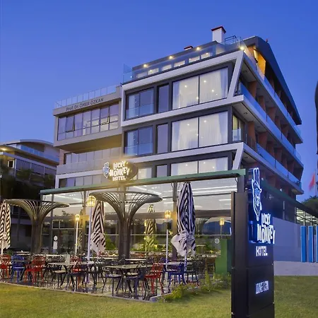 Lucky Monkey Hotel-2
