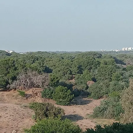 Deniz Kenari Ev-2