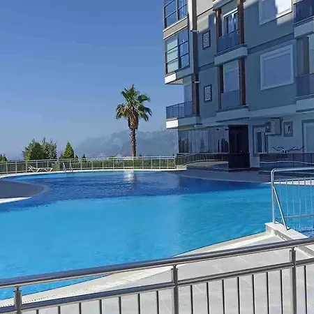 Paradice With Olimpic Pool-2