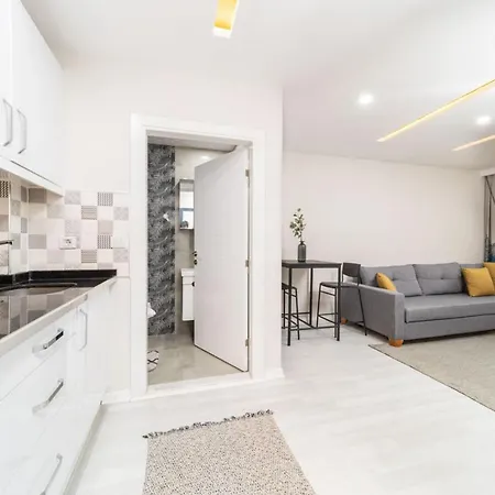 Modern And Central Flat Near Beach In Muratpasa-2