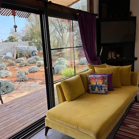 Tinyhouse-2