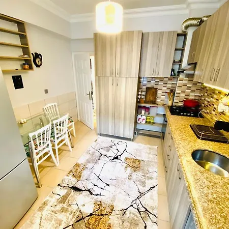 Suite House-2