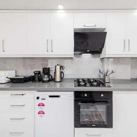 Modern And Fully Furnished Flat In Antalya-3