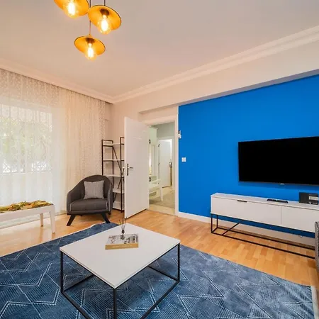 Elegant And Full Furnished Flat With Balcony-3