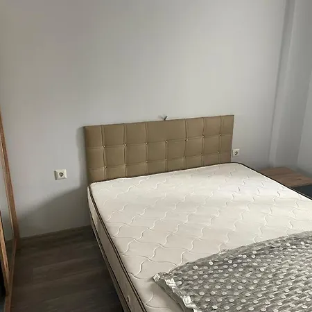 Zeytinli-2