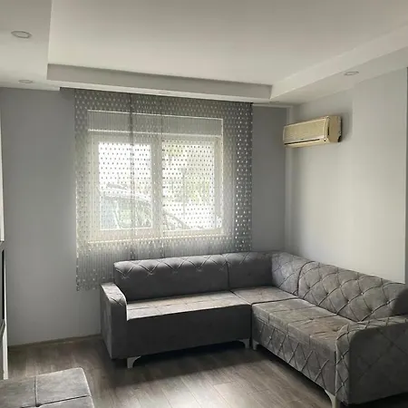 Zeytinli-3