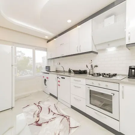 Fully Furnished Spacious Flat In Muratpasa-3