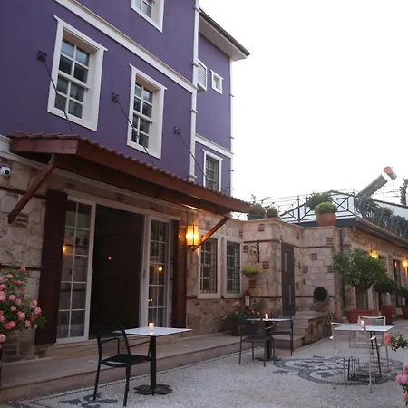 Warm Garden Flat With Patio Near Hadrian'S Gate-3