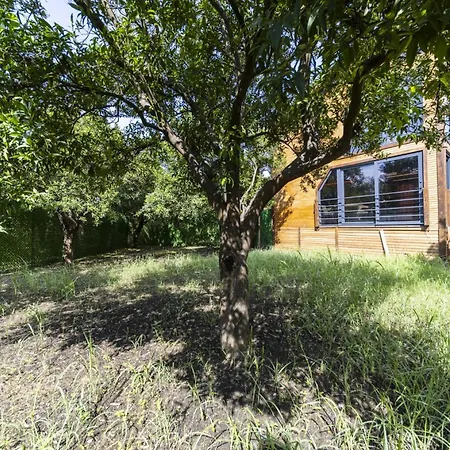 Peaceful Bungalow In Nature W Garden In Antalya-3