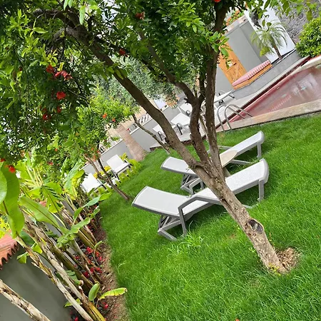 Wolf Suites-3