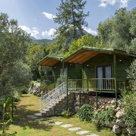 Apa Mountain Lodge-3