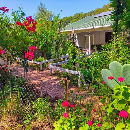 Gelidonia Holiday Home On The Lycian Way-2