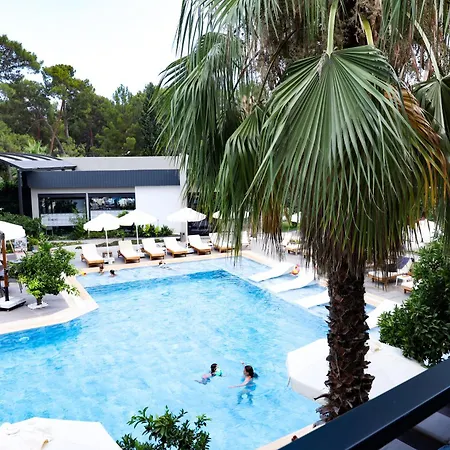 Forest In Hotel-2