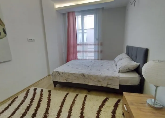 Huisdiervriedelijke 