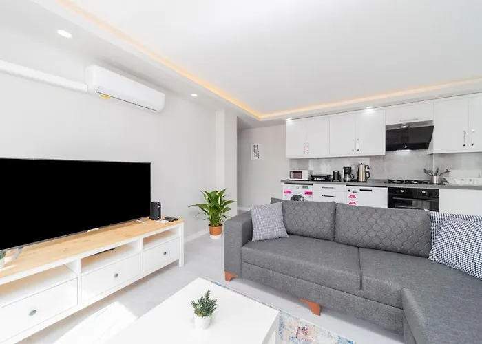 Modern And Fully Furnished Flat In Antalya Appartement