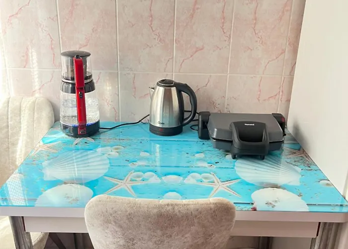 Konfor Ve Huzurunuz Icin Her Sey Var Klimali Oda Antalya
